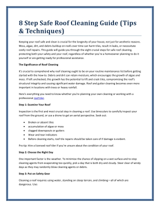 8 Step Safe Roof Cleaning Guide (Tips & Techniques)