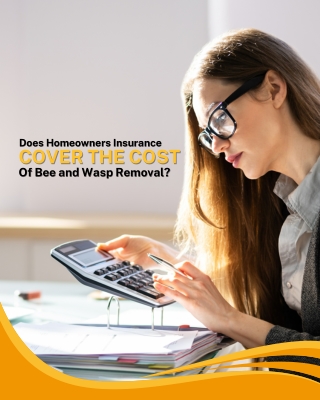 Does Homeowners Insurance Cover the Cost of Bee and Wasp Removal