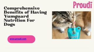 Comprehensive Benefits of Having Yumguard Nutrition For Dogs