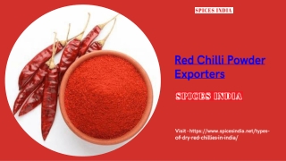 Red Chilli Powder  Exporters