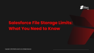 salesforce file storage limits what you need
