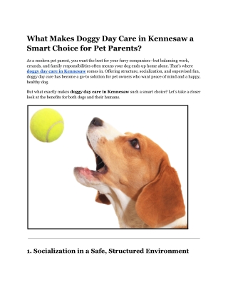 What Makes Doggy Day Care in Kennesaw a Smart Choice for Pet Parents
