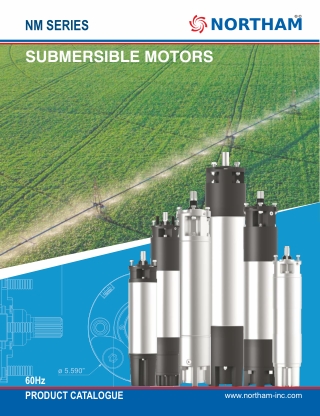 10″ Submersible Motor