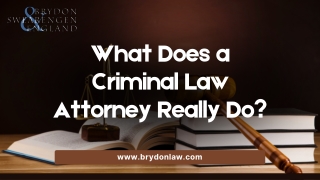 What Does a Criminal Law Attorney Really Do?