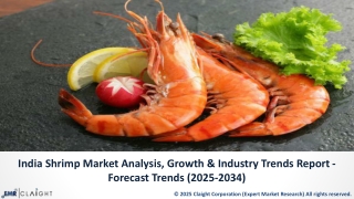 India Shrimp Market Growth Forecast | 2025-2034 Trends & Insights