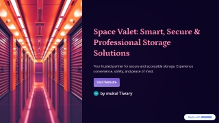 space valet smart secure professional storage