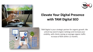 elevate your digital presence with tam digital seo