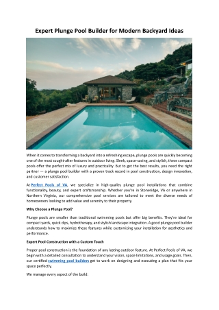 Expert Plunge Pool Builder for Modern Backyard Ideas