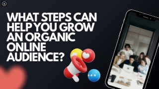 What Steps Can Help You Grow an Organic Online Audience