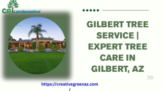 gilbert tree service expert tree care in gilbert