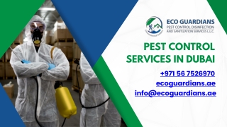 Pest Control Services in Dubai