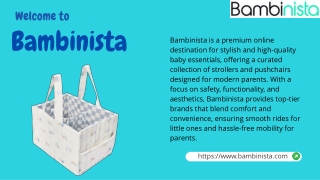 Shop Changing Bags Accessories Online – Only at Bambinista