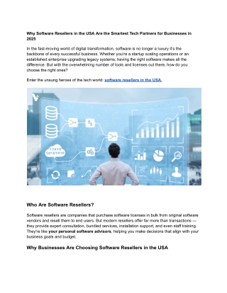 Why Software Resellers in the USA Are the Smartest Tech Partners for Businesses in 2025