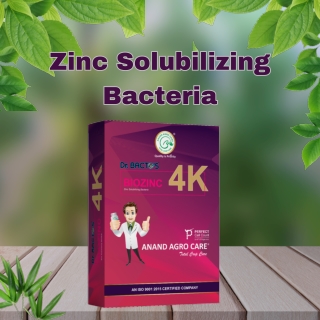 Zinc Solubilizing Bacteria: A Natural Solution for Zinc Deficiency in Crops