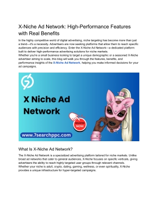 X-Niche Ad Network_ High-Performance Features with Real Benefits