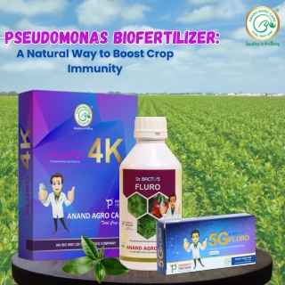 Pseudomonas fluorescens: Nature’s Powerful Ally for Healthy Crops