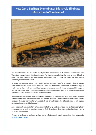 How Can a Bed Bug Exterminator Effectively Eliminate Infestations in Your Home?