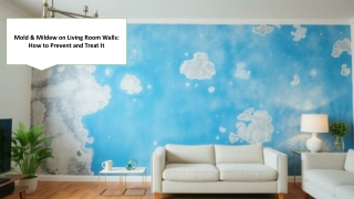 Say Goodbye to Mold & Mildew on Living Room Walls