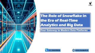 Snowflake Course India's Best training Visualpath
