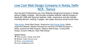 Low Cost Web Design Company in Noida