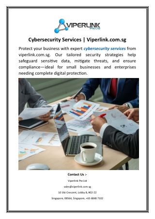 Cybersecurity Services Viperlink.com.sg.