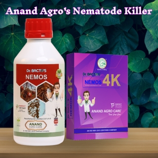 Say Goodbye to Nematodes: Effective Biological & Chemical Control Methods