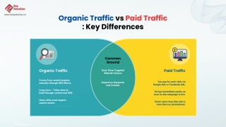 Organic Traffic vs Paid Traffic Key Differences