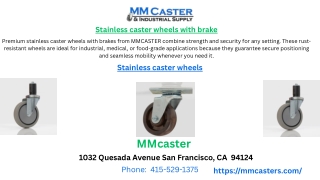 Stainless caster wheels with brake