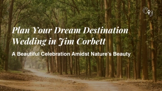 Discover the Most Beautiful Wedding Venues in Jim Corbett