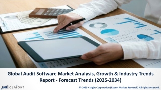 Audit Software Market Outlook | Industry Trends 2025-2034