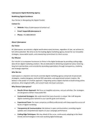 Cyberspacex Digital Marketing Agency