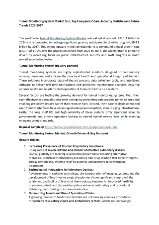 Tunnel Monitoring System Market Size
