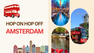 One Ticket. Many Stops. Your Amsterdam Bus Tours Adventure