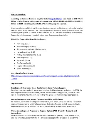 Lingerie Market Size, Share, Industry Innovations, 2032