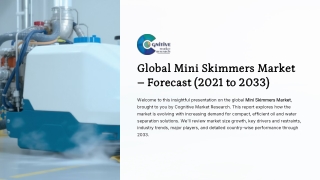 Mini Skimmers Market Report