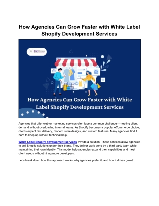 A Comprehensive Guide to White Label Shopify Growth