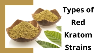 Types of Red Kratom Strains (1)
