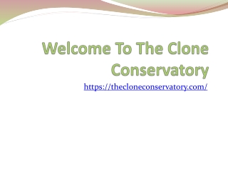 Buy Clones near me - The Clone Conservatory