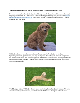 Trained Goldendoodles for Sale in Michigan
