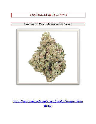 Super Silver Haze - Australia Bud Supply