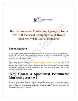 Best Ecommerce Marketing Agency in India for ROI-Focused Campaigns and Brand Success-Wish Geeks Techserve