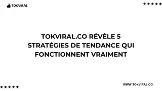 TokViral.co Révèle 5 Stratégies De Tendance Qui Fonctionnent Vraiment