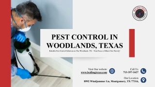 Reliable Pest Control Services in The Woodlands, TX