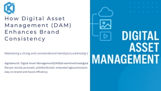 Boost Brand Consistency with Digital Asset Management (DAM)