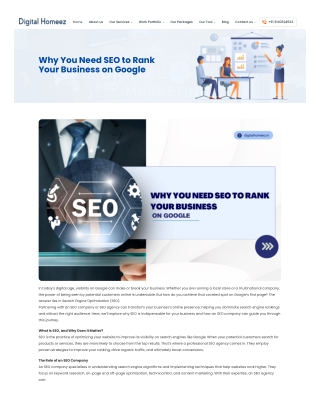 Best Digital Marketing Company - Digital Homeez