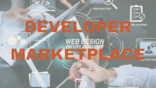 Creative Freelance Project Posting  Client Testimonials