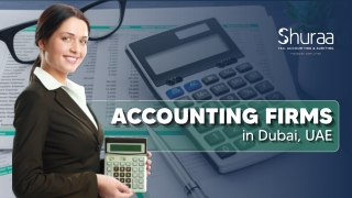 Accounting Firms in Dubai, UAE