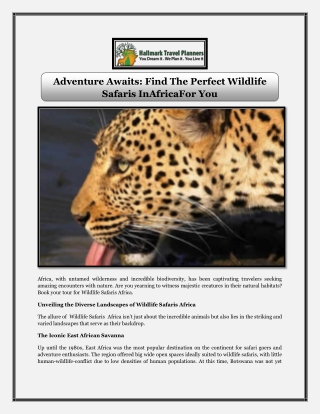 Adventure Awaits Find The Perfect Wildlife Safaris InAfricaFor You