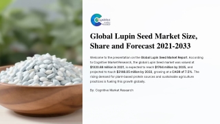 Global Lupin Seed Market Size Share and Forecast 2021 2033