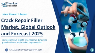 global-crack-repair-filler-market-2024-69